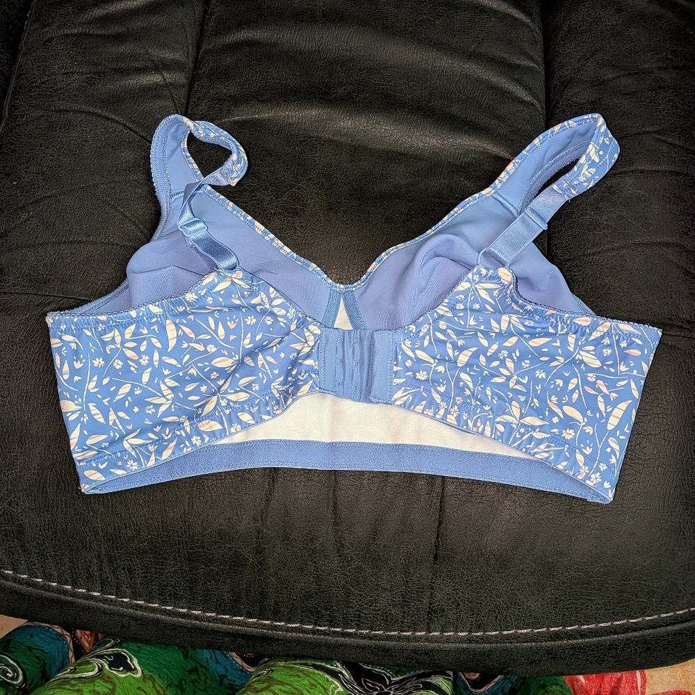 Bra - Picture 2 of 5